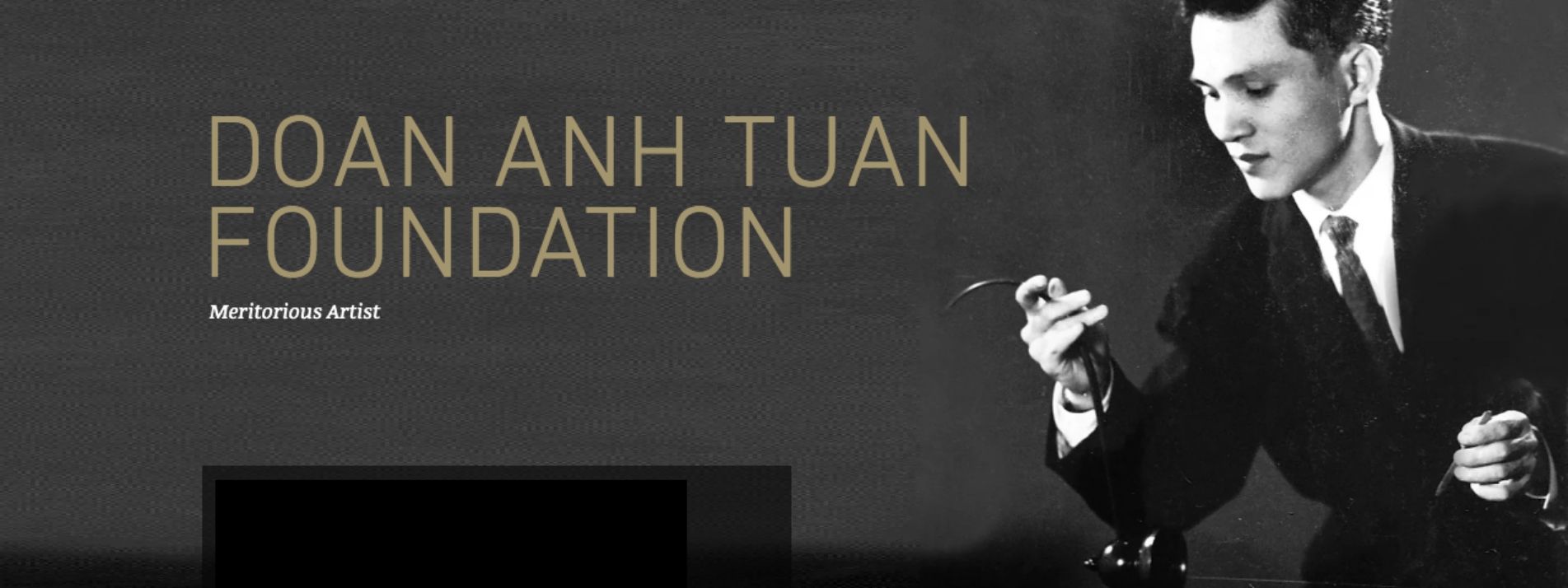 Doan Anh Tuan Foundation