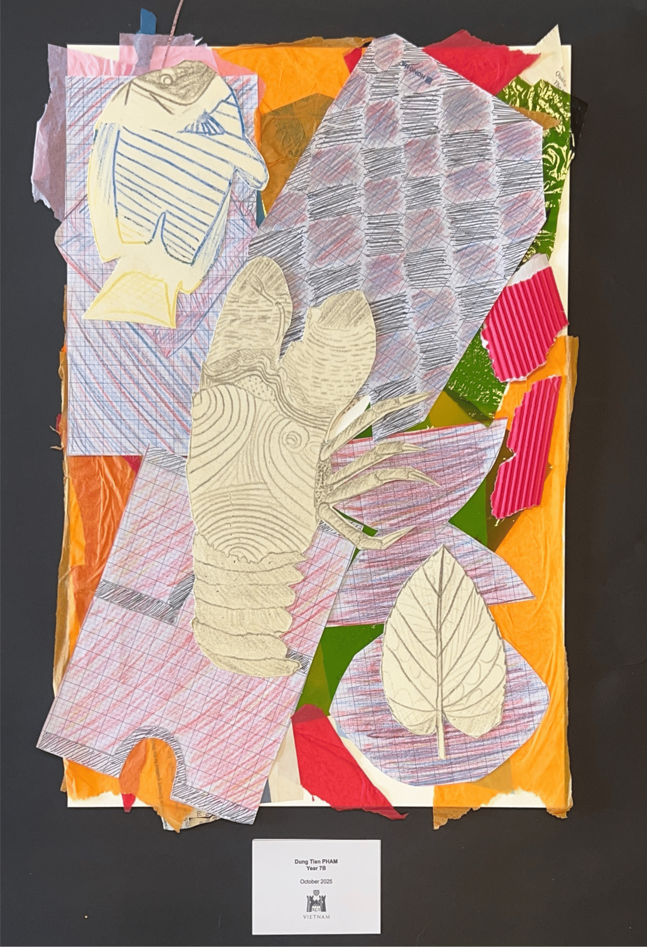 Year 7 - Drawing & Collage 9