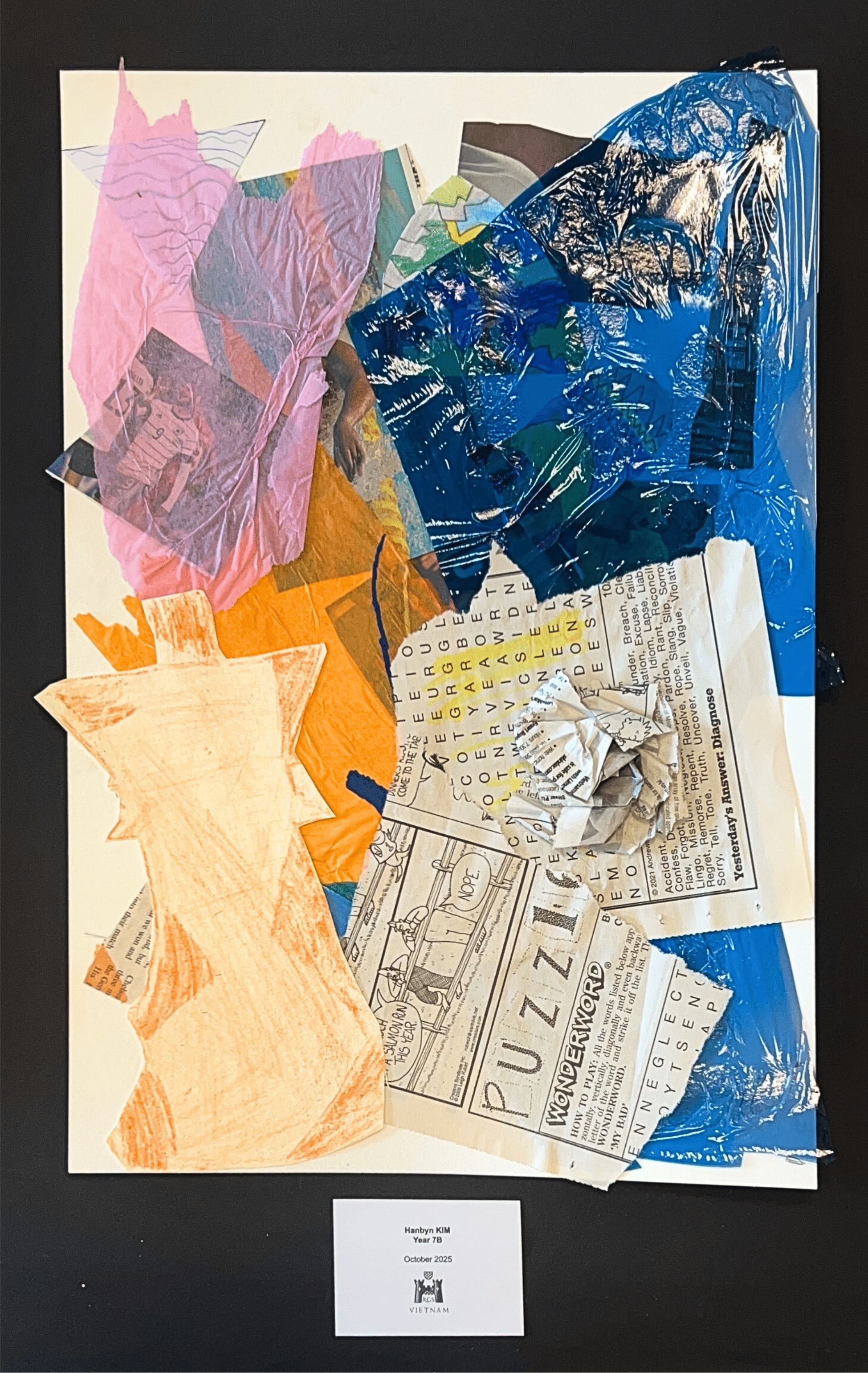 Year 7 - Drawing & Collage 12