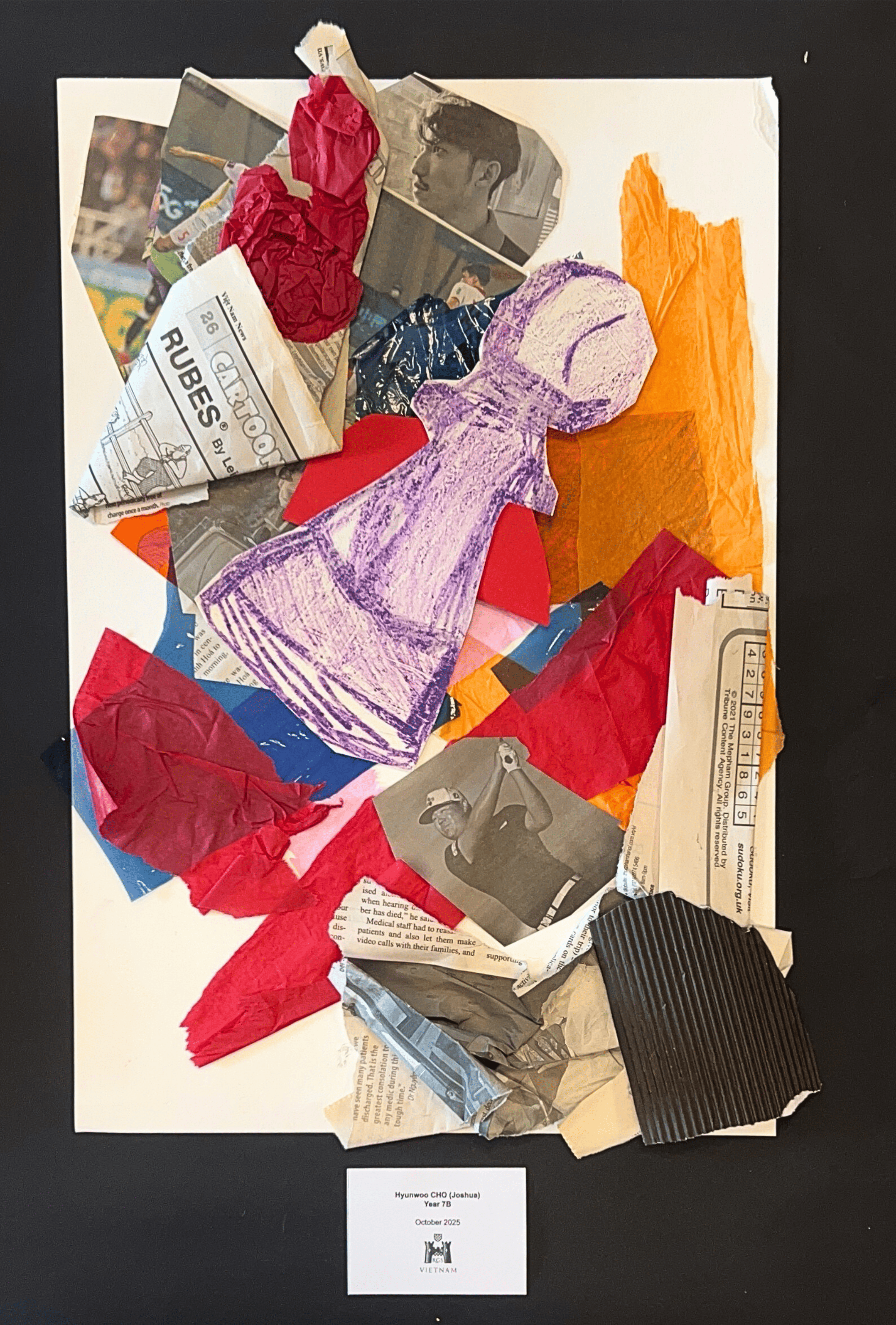 Year 7 - Drawing & Collage 14