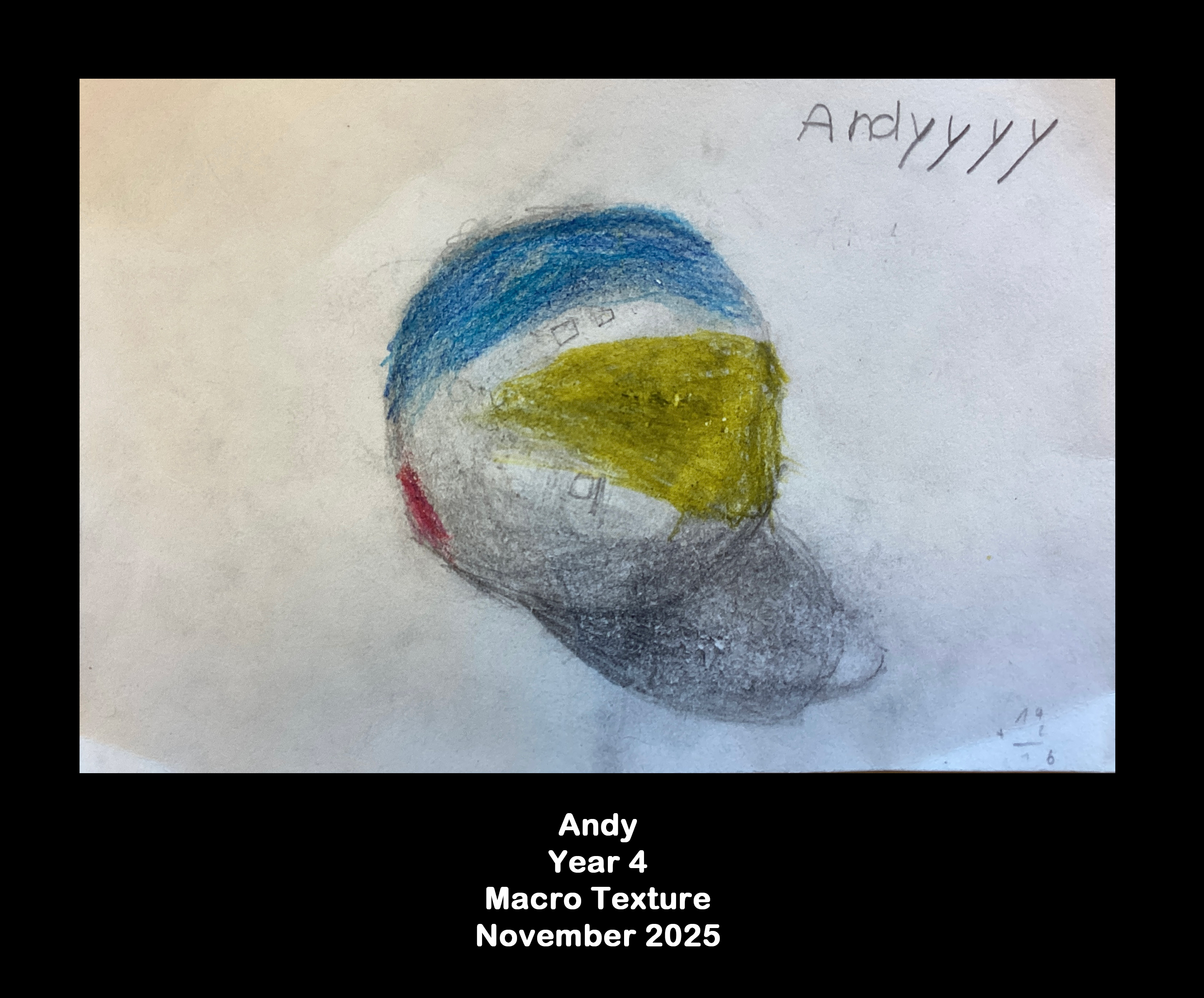 Year 4: Macro texture  15