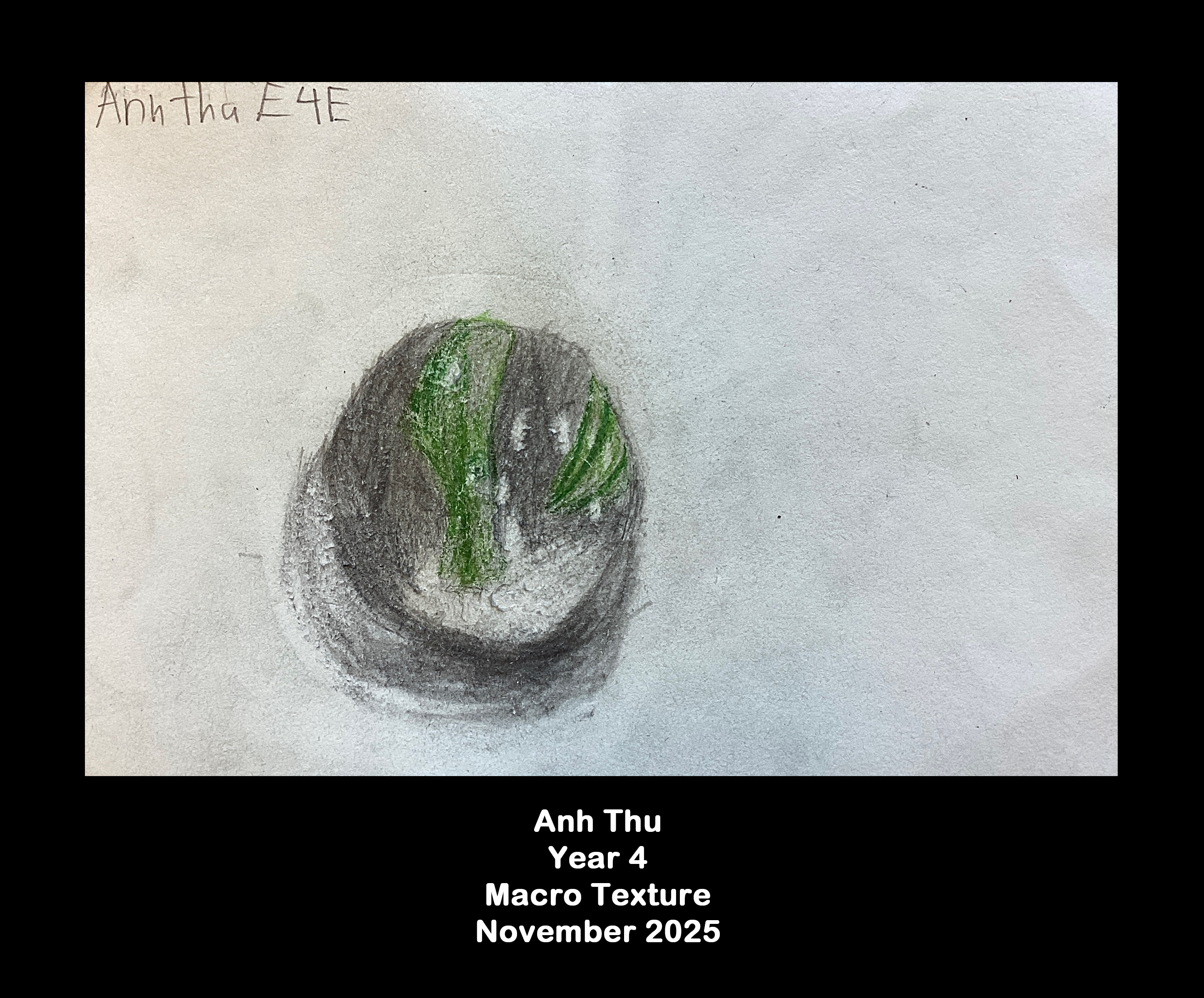 Year 4: Macro texture  14