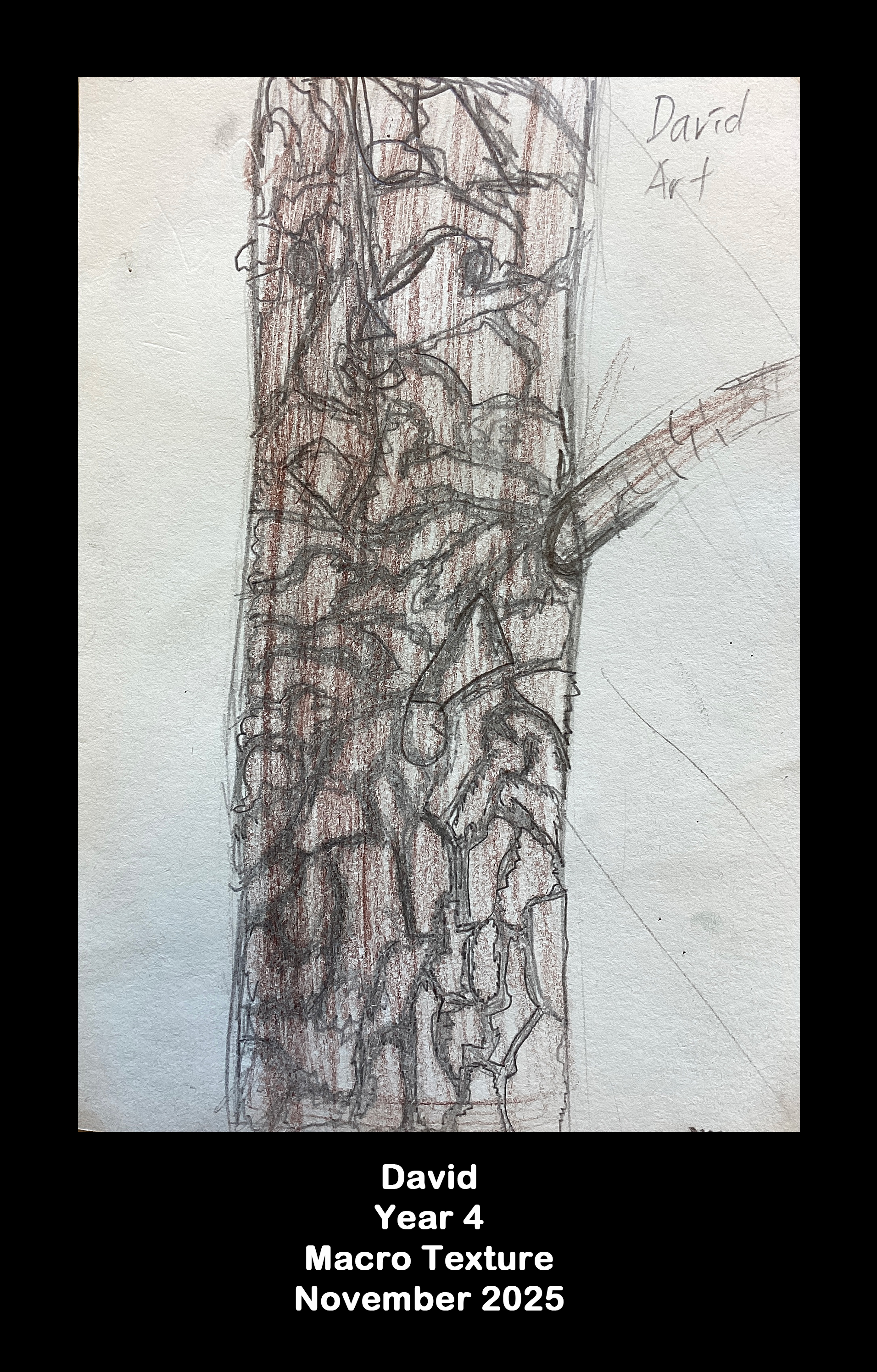 Year 4: Macro texture  12