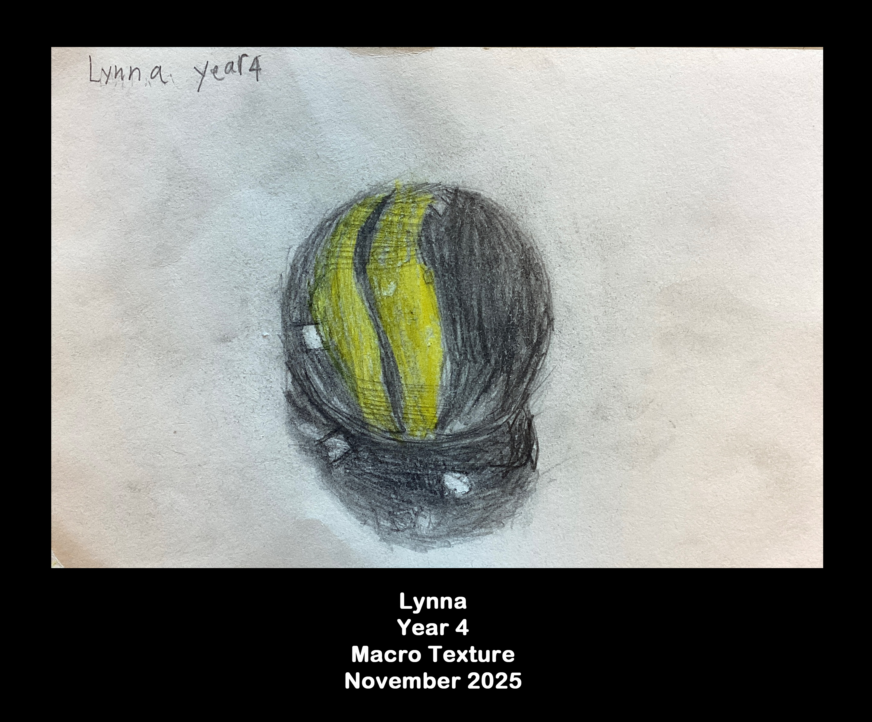 Year 4: Macro texture  11