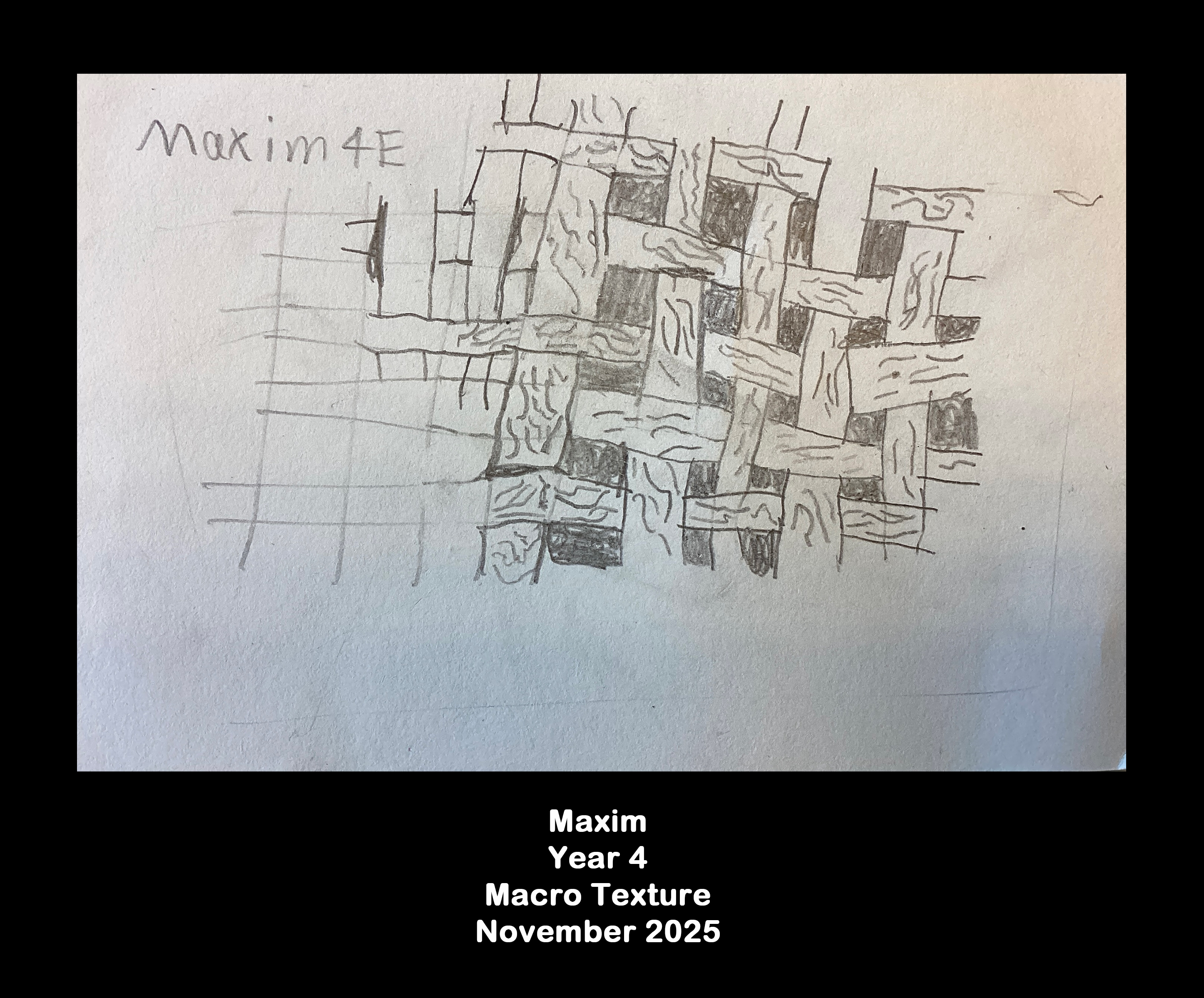 Year 4: Macro texture  8