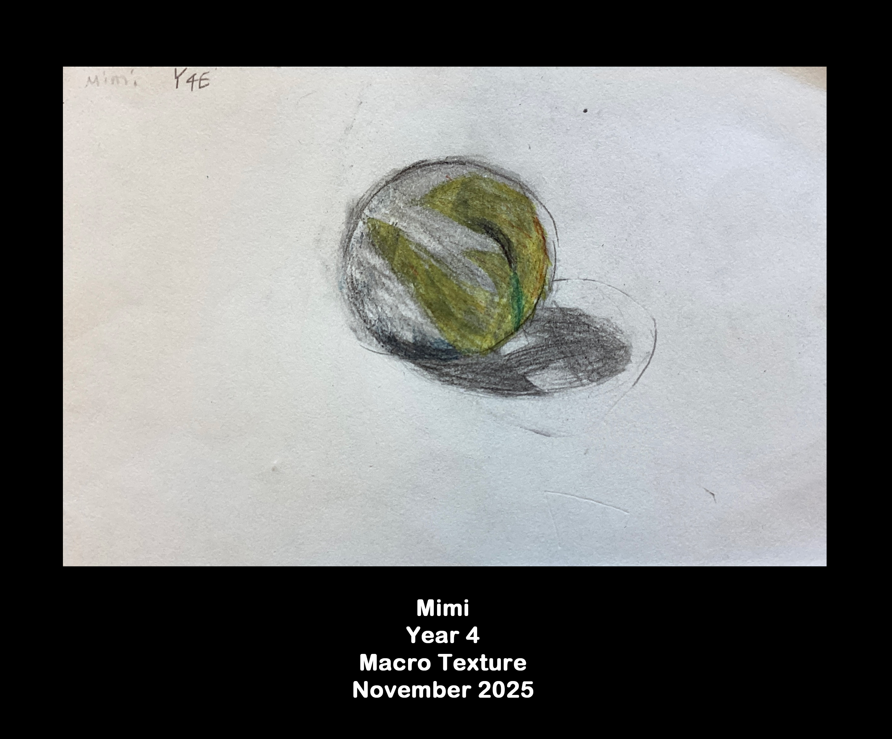 Year 4: Macro texture  9