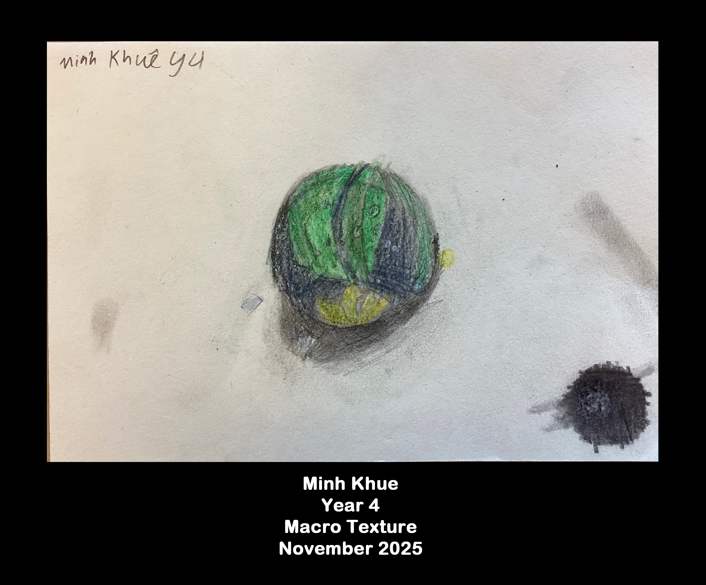 Year 4: Macro texture  7