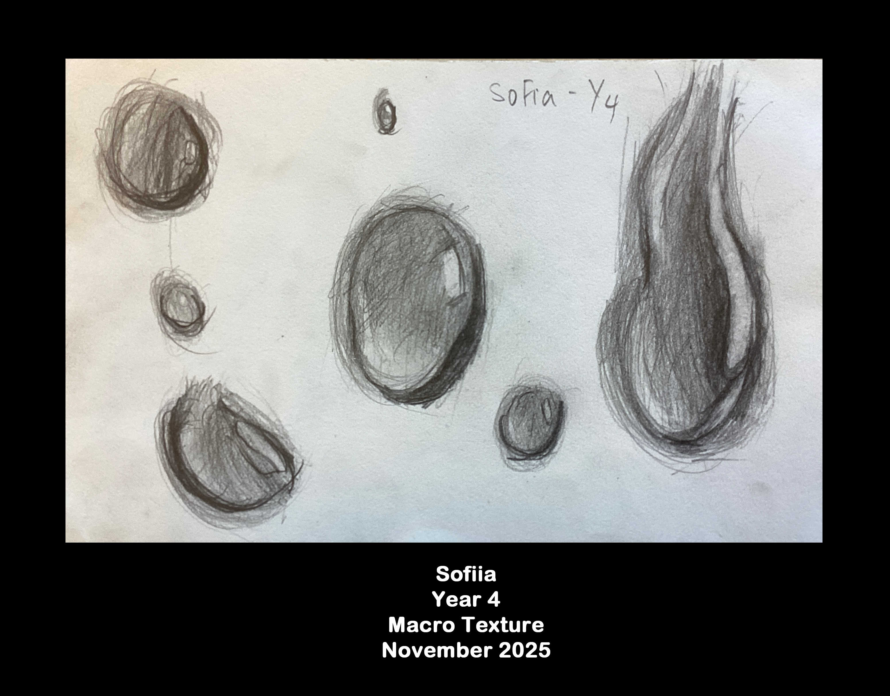 Year 4: Macro texture 