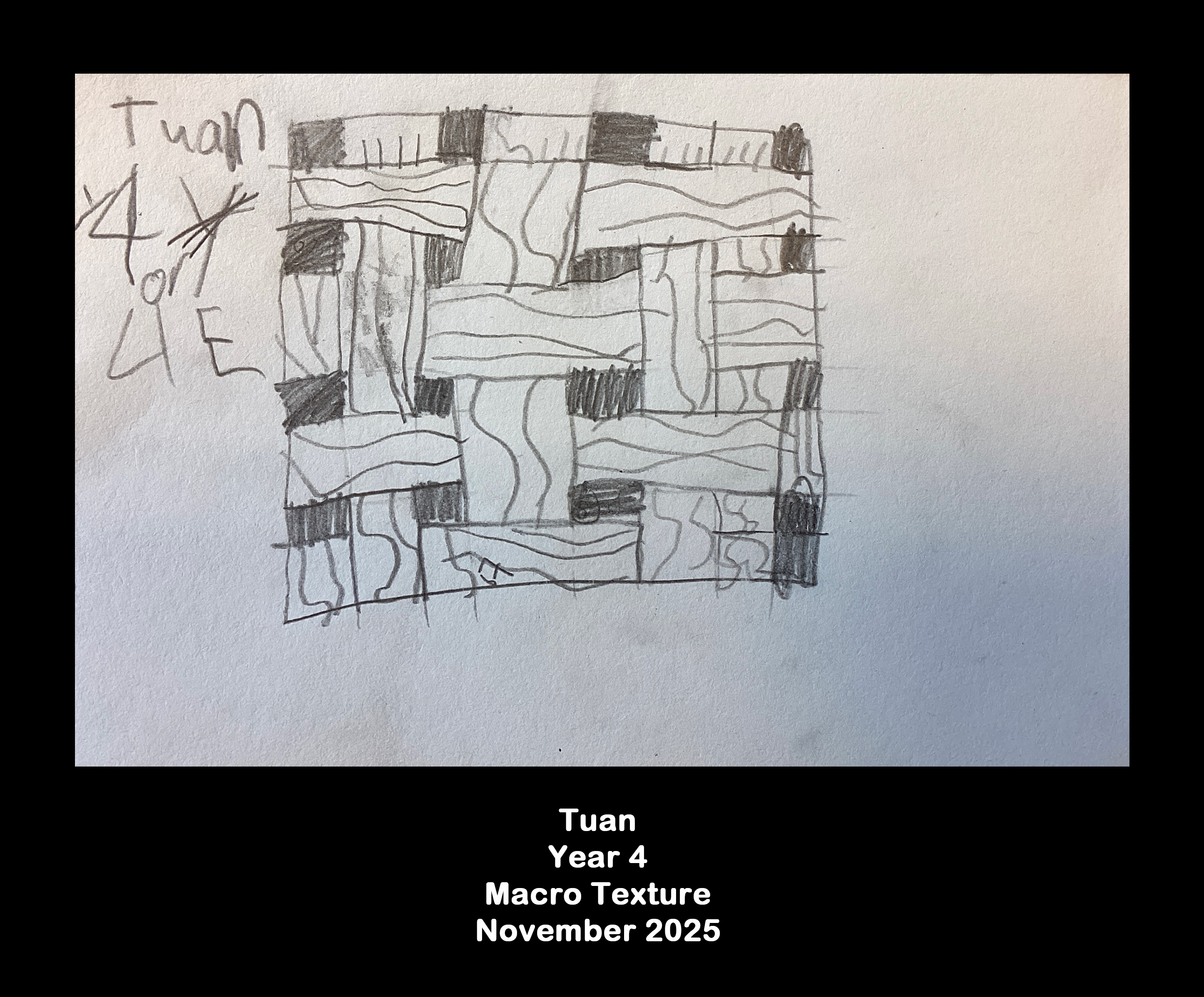 Year 4: Macro texture  1