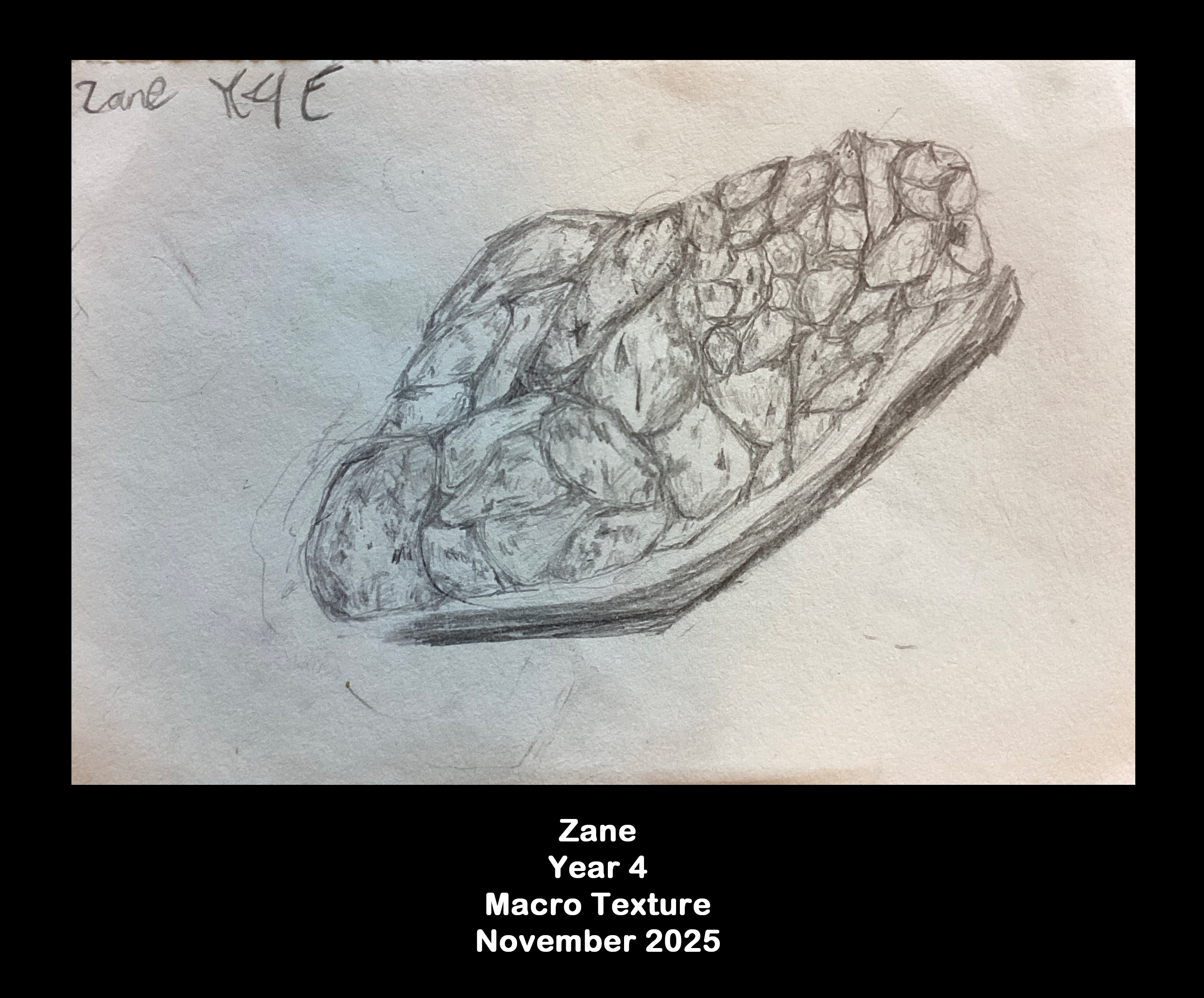 Year 4: Macro texture  4